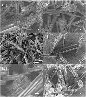 Synthesis and Microwave Absorbing Properties of Porous One-Dimensional Nickel Sulfide Nanostructures